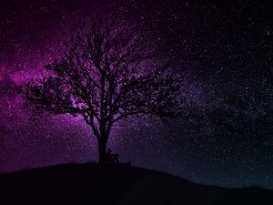 Preview wallpaper tree, silhouette, starry sky, dark, art