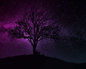Preview wallpaper tree, silhouette, starry sky, dark, art
