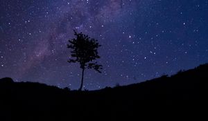 Preview wallpaper tree, silhouette, starry sky, stars