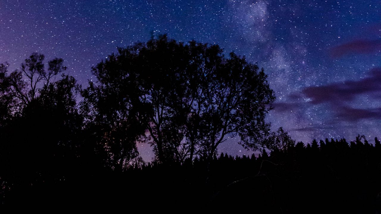 Wallpaper tree, silhouette, starry sky, night, dark