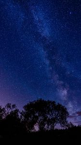Preview wallpaper tree, silhouette, starry sky, night, dark