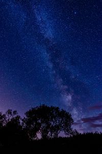 Preview wallpaper tree, silhouette, starry sky, night, dark