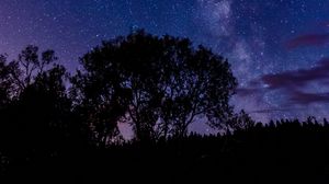 Preview wallpaper tree, silhouette, starry sky, night, dark