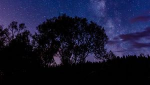 Preview wallpaper tree, silhouette, starry sky, night, dark