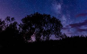 Preview wallpaper tree, silhouette, starry sky, night, dark