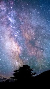 Preview wallpaper tree, silhouette, starry sky, milky way, night, darkness