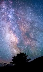 Preview wallpaper tree, silhouette, starry sky, milky way, night, darkness