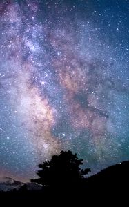 Preview wallpaper tree, silhouette, starry sky, milky way, night, darkness