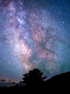 Preview wallpaper tree, silhouette, starry sky, milky way, night, darkness