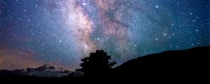 Preview wallpaper tree, silhouette, starry sky, milky way, night, darkness