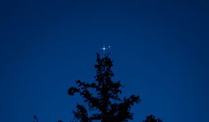 Preview wallpaper tree, silhouette, stars, night, dark