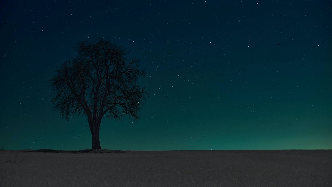 Wallpaper tree, silhouette, stars, night, sky, dark