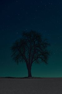 Preview wallpaper tree, silhouette, stars, night, sky, dark