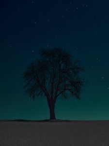 Preview wallpaper tree, silhouette, stars, night, sky, dark