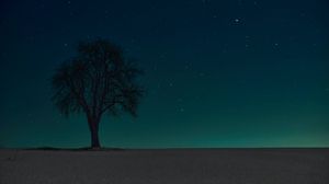Preview wallpaper tree, silhouette, stars, night, sky, dark
