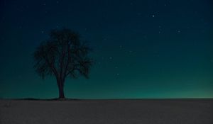 Preview wallpaper tree, silhouette, stars, night, sky, dark