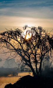Preview wallpaper tree, silhouette, sun, twilight, nature