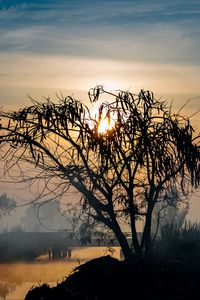 Preview wallpaper tree, silhouette, sun, twilight, nature