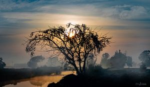 Preview wallpaper tree, silhouette, sun, twilight, nature