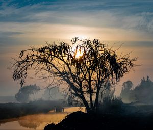 Preview wallpaper tree, silhouette, sun, twilight, nature