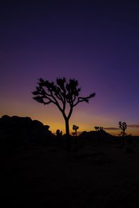 Preview wallpaper tree, silhouette, sunset, prairie