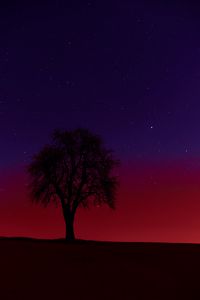Preview wallpaper tree, silhouette, sunset, stars