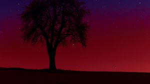 Preview wallpaper tree, silhouette, sunset, stars