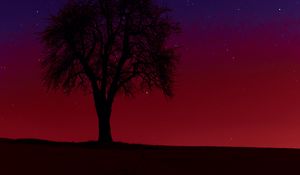 Preview wallpaper tree, silhouette, sunset, stars