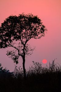 Preview wallpaper tree, silhouette, sunset, dusk, nature