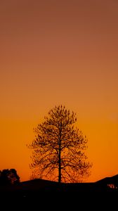 Preview wallpaper tree, silhouette, sunset, dark