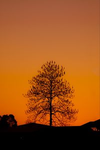 Preview wallpaper tree, silhouette, sunset, dark