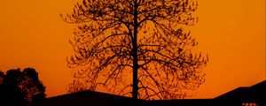 Preview wallpaper tree, silhouette, sunset, dark