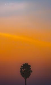 Preview wallpaper tree, silhouette, sunset, dark, minimalism