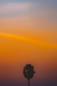 Preview wallpaper tree, silhouette, sunset, dark, minimalism