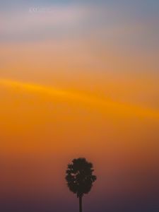 Preview wallpaper tree, silhouette, sunset, dark, minimalism