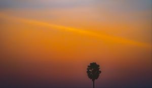 Preview wallpaper tree, silhouette, sunset, dark, minimalism