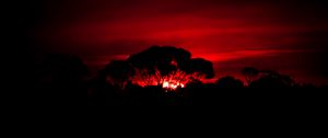 Preview wallpaper tree, silhouette, sunset, dark, nature