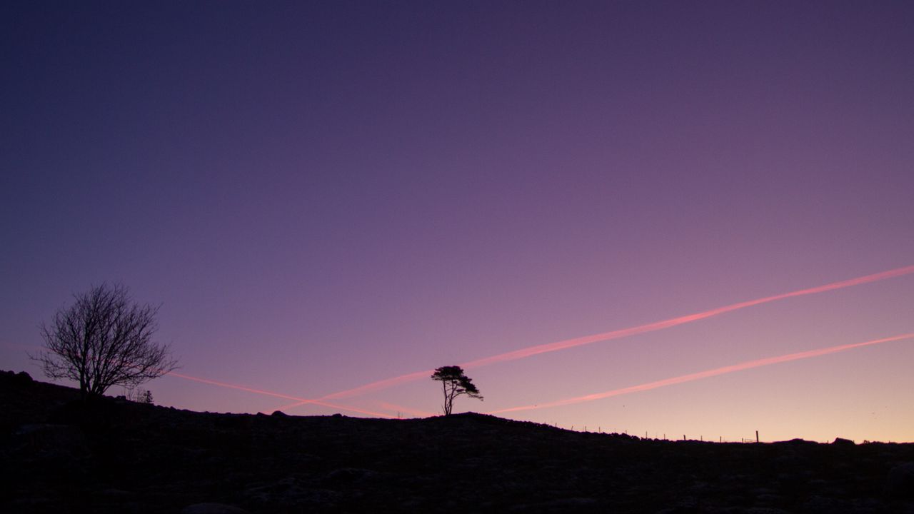 Wallpaper tree, silhouette, twilight, landscape, dark