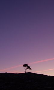 Preview wallpaper tree, silhouette, twilight, landscape, dark