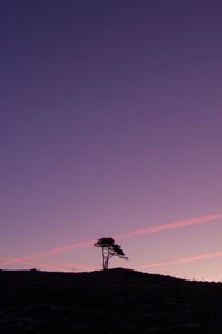 Preview wallpaper tree, silhouette, twilight, landscape, dark