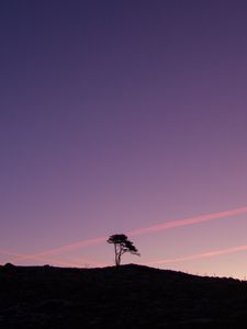 Preview wallpaper tree, silhouette, twilight, landscape, dark