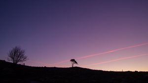 Preview wallpaper tree, silhouette, twilight, landscape, dark