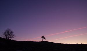 Preview wallpaper tree, silhouette, twilight, landscape, dark