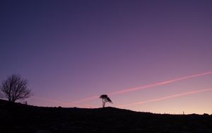 Preview wallpaper tree, silhouette, twilight, landscape, dark