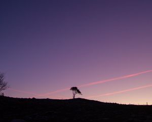 Preview wallpaper tree, silhouette, twilight, landscape, dark
