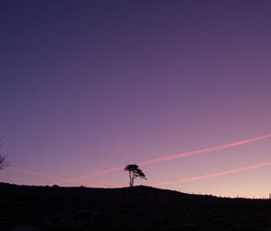 Preview wallpaper tree, silhouette, twilight, landscape, dark