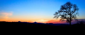Preview wallpaper tree, silhouette, twilight, nature
