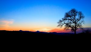 Preview wallpaper tree, silhouette, twilight, nature