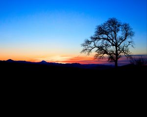 Preview wallpaper tree, silhouette, twilight, nature