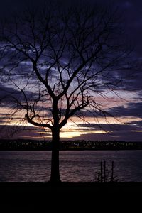 Preview wallpaper tree, silhouette, water, lights, sunset